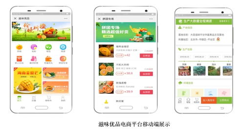 智慧農(nóng)業(yè)新篇章 1.28億元數(shù)字化服務(wù)，守護(hù)農(nóng)產(chǎn)品安全生命線(xiàn)