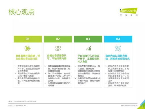 2017年中國網絡自制內容行業研究報告 數字內容制作服務深度解析